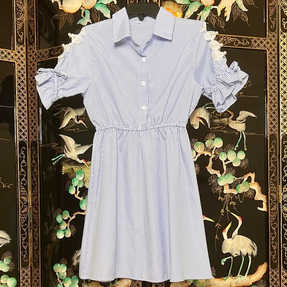 Light Blue Pinstriped Lace and Pearl Sleeved Shirt Dress - Picture 3 of 6